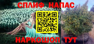 герыч Тула