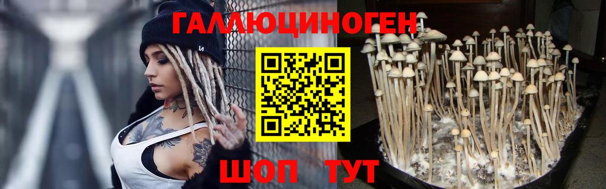 Псилоцибиновые грибы прущие грибы  Вход с VPN  Псилоцибиновые грибы GOLDEN TEACHER  закладка  Чусовой 